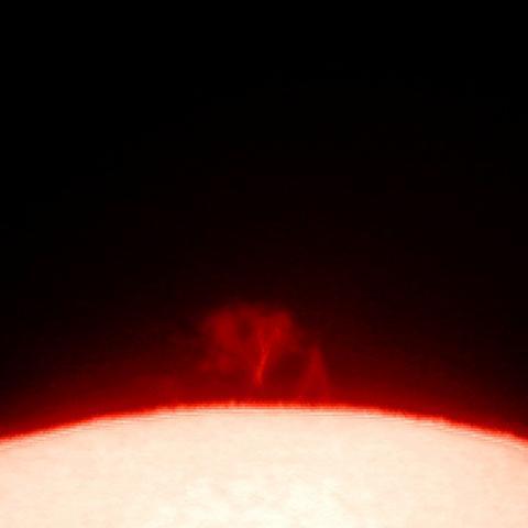 クリスマスプロミネンス