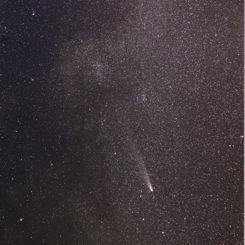 C/2023A3 紫金山・アトラス彗星 20241103