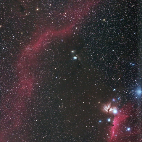 75085: M78星雲 by masa-saito - 天体写真ギャラリー 75085: M78星雲 by masa-saito - 天体写真ギャラリー