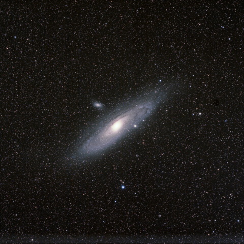 M31