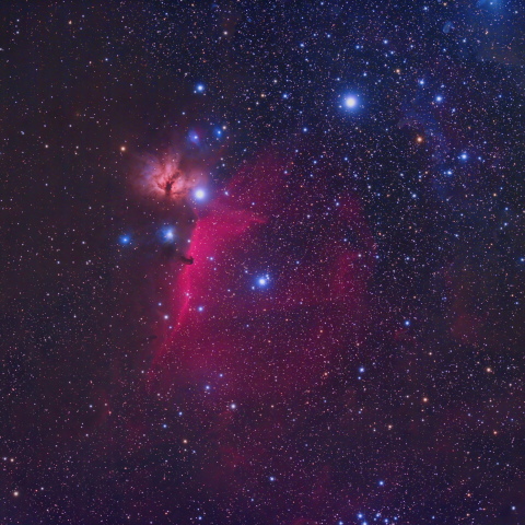 オリオン座 馬頭星雲