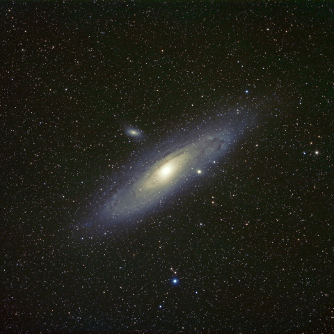 M31