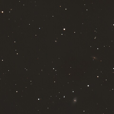 NGC1087 くじら座