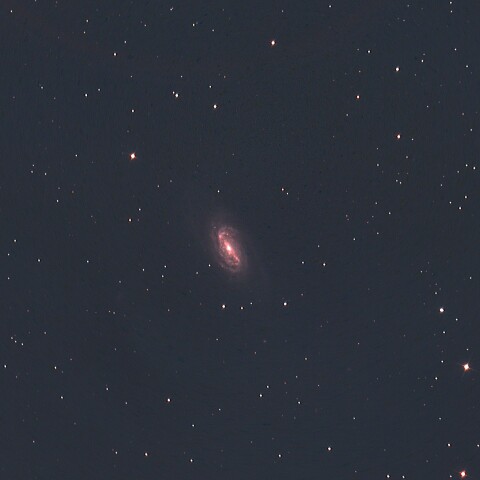 NGC2903 しし座