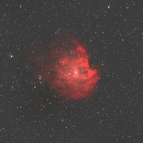 NGC2174 モンキー星雲 オリオン座