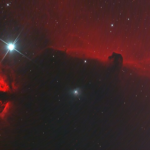 燃える木と馬頭星雲