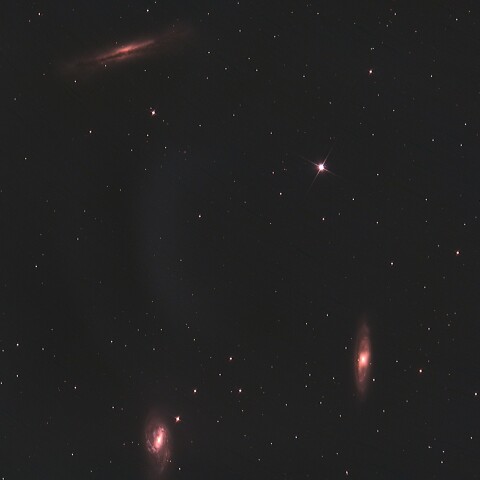 Leo Triplett 