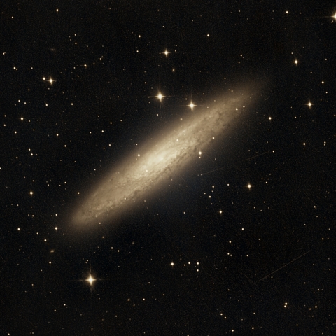 SE200NCRによるNGC253　ちょうこくしつ座
