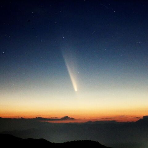 紫金山・アトラス彗星