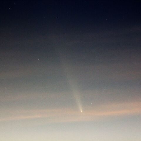 紫金山・アトラス彗星