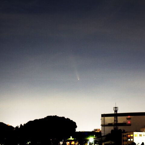 紫金山・アトラス彗星