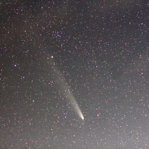 紫金山・アトラス彗星