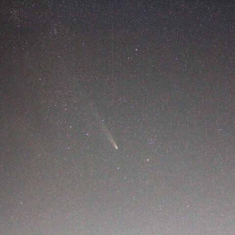 紫金山・アトラス彗星