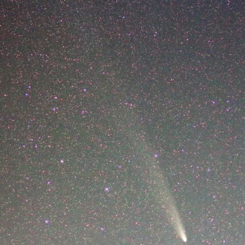 紫金山・アトラス彗星