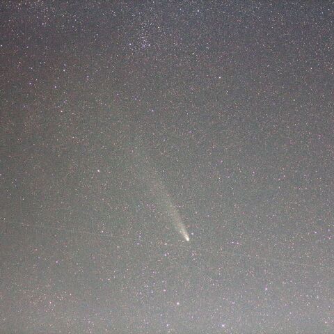 紫金山・アトラス彗星