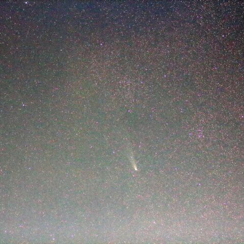 紫金山・アトラス彗星