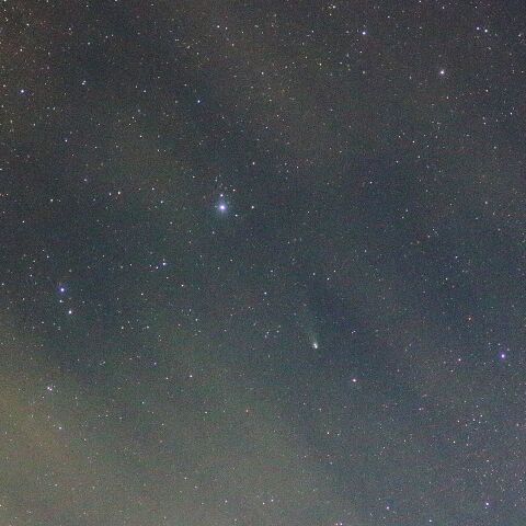 紫金山・アトラス彗星