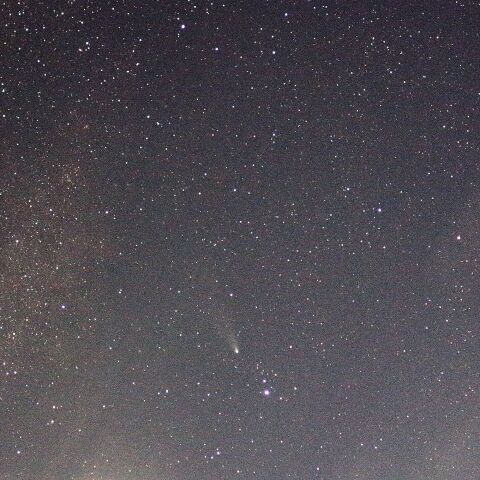 紫金山・アトラス彗星