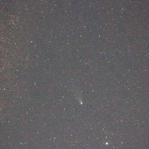 紫金山・アトラス彗星