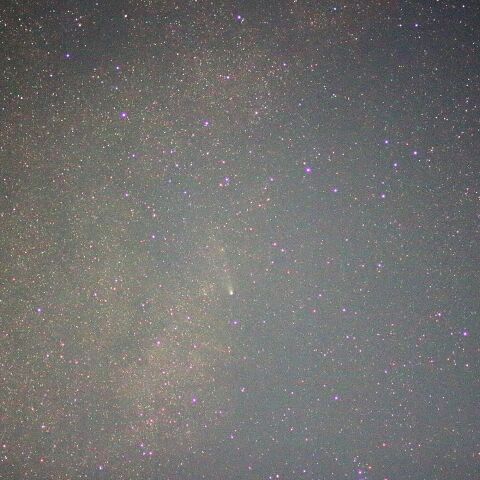 紫金山・アトラス彗星