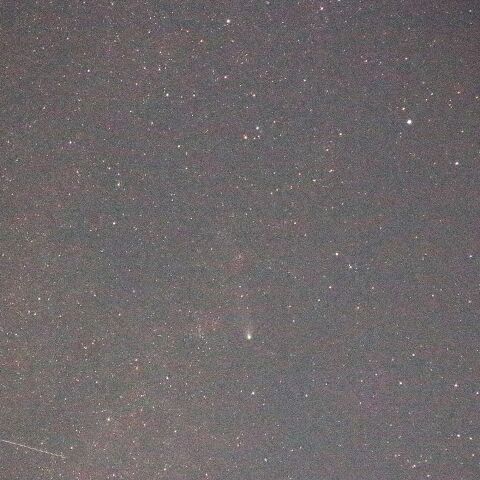 紫金山・アトラス彗星