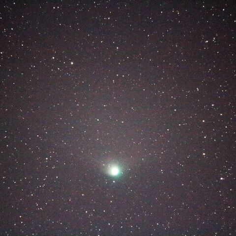 ズィーティーエフ彗星