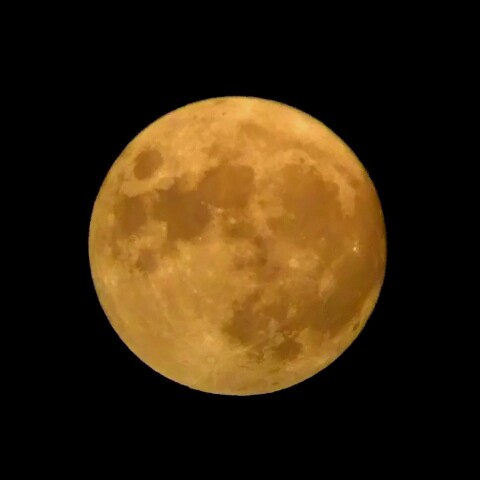 金色に輝く中秋の名月