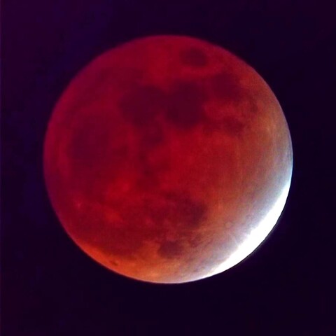 リベンジ！！！