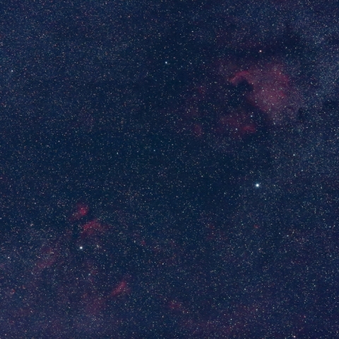 スワンルージュ