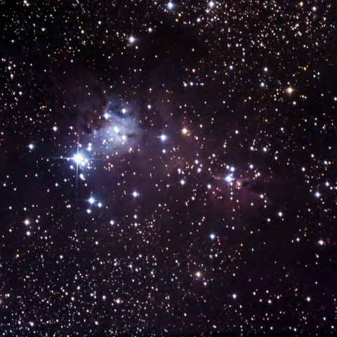 コーン星雲とクリスマスツリー星団