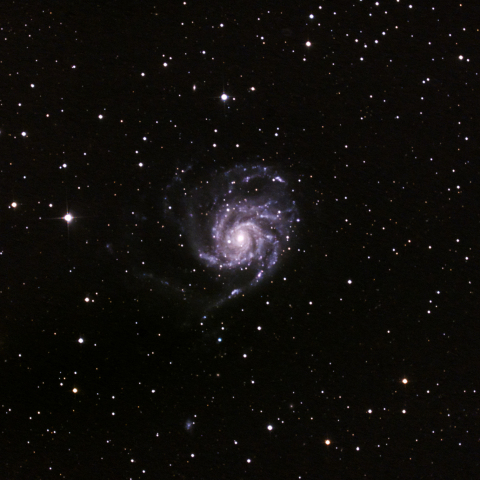 北の回転花火銀河