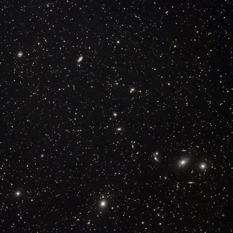 マルカリアンチェーン