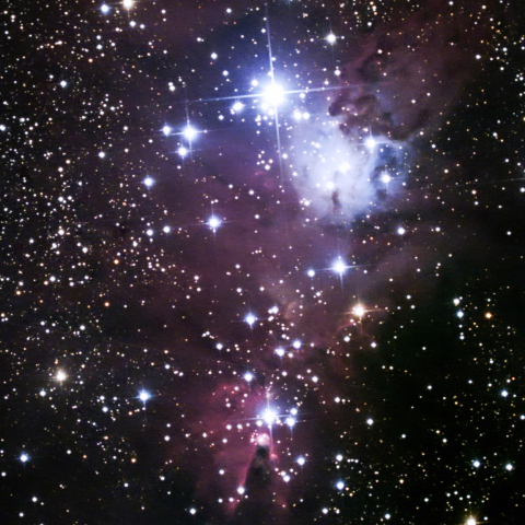 コーン星雲とクリスマスツリー星団 コーン星雲