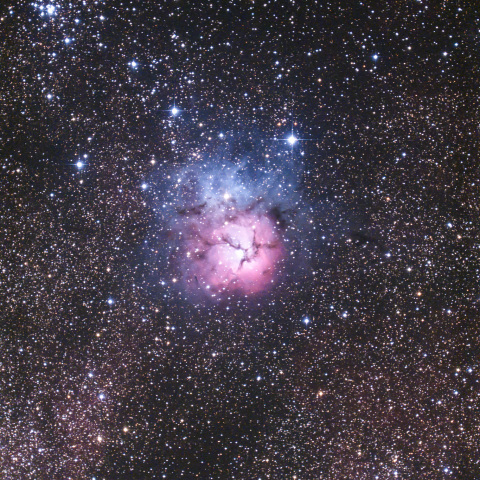 宇宙の光るアサガオ　三裂星雲