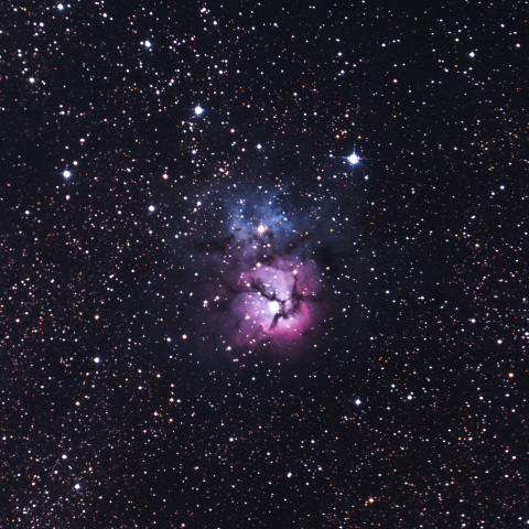 宇宙の光るアサガオ