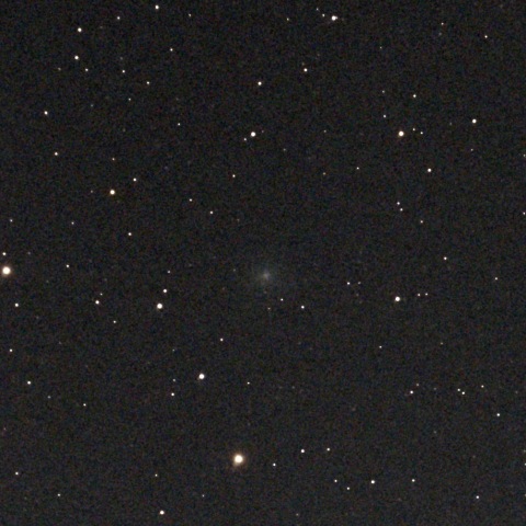 スワン彗星　（2025.11.10）