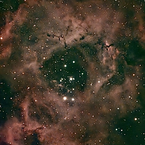 ばら星雲（Rosette Nebula）