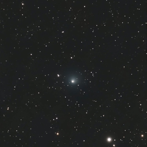 10P Tempel2  2026 in Biei