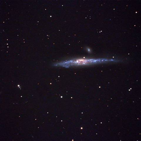 NGC4631 Whale Galaxy