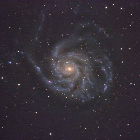 M101 Pinwheel Galaxy