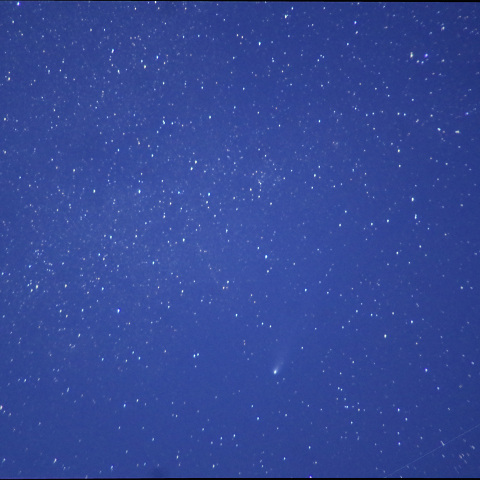 11月27日「紫金山アトラス彗星」