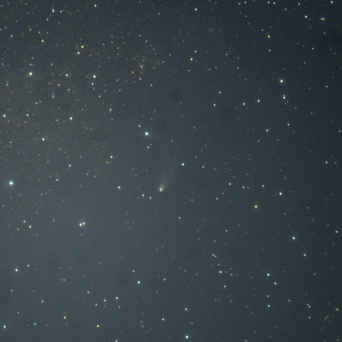 11月28日「紫金山アトラス彗星」