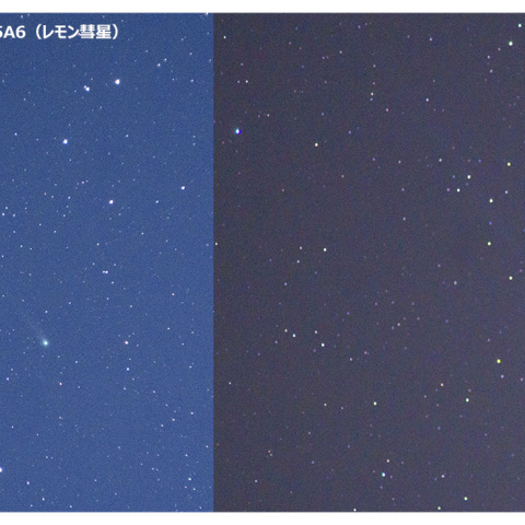特集 レモン彗星（C/2025 A6） - 天体写真ギャラリー