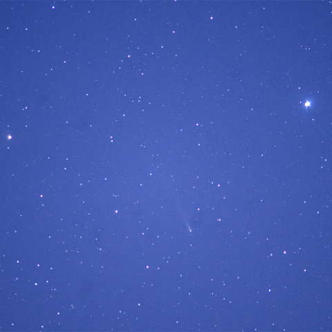 11月12日「C/2025 K1 ATLAS彗星」