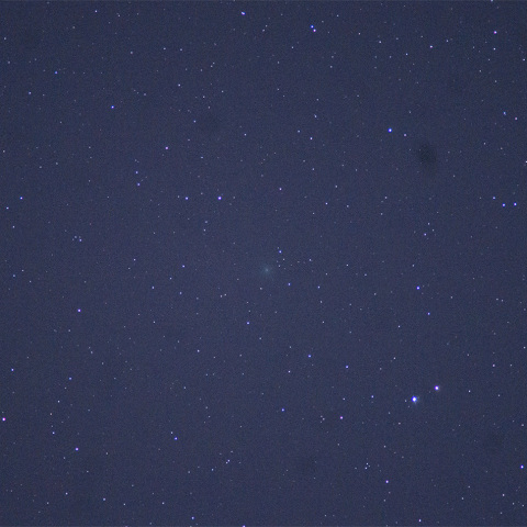 12月19日　「24P/Schaumasse彗星」