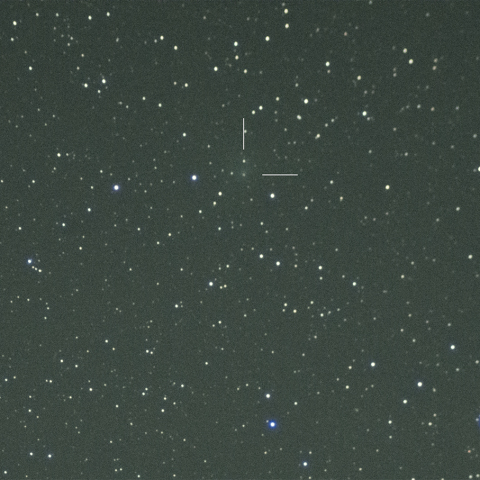  10P/Tempel(2026) 6月11日