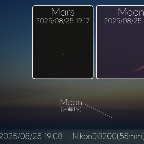 117804: 満月（月齢 13.8 ）月とポルックス＆火星の接近 1/14