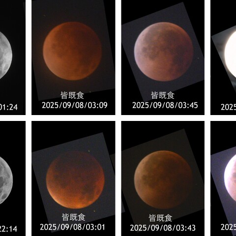 皆既月食 時系列順