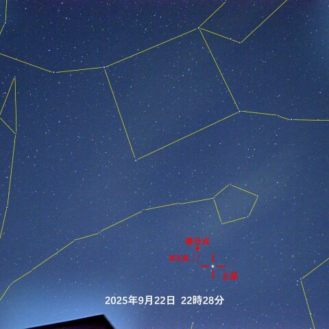 No.368 星 宙「ナヴォーナ広場（ローマ）」F8（455×380mm）原画 星が好きな人のための新着情報(2025-09-25)