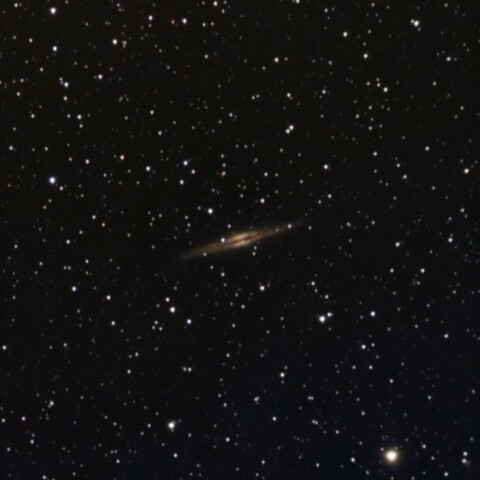 NGC891
